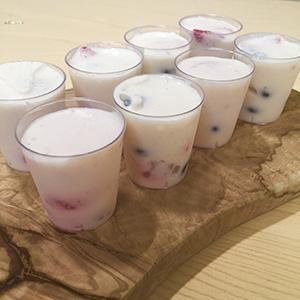 Yoghurt vanilla panacotta - Bidfood