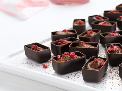 Chocolate Philadelphia mousse with dried raspberries - Bidfood