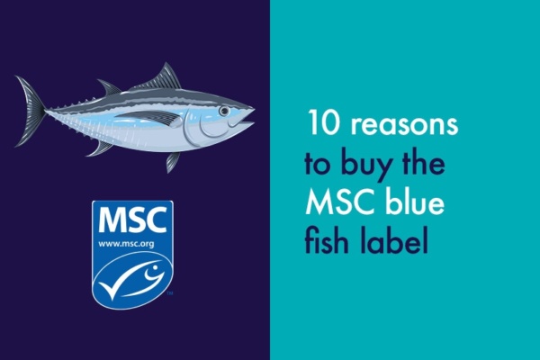 10 reasons to buy the MSC Blue fish label | Bidfood blog