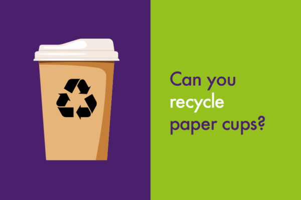 Can you recycle paper cups? | Bidfood blog