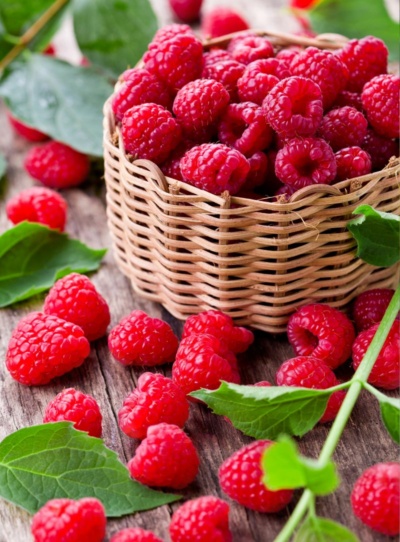 british food trends 2024