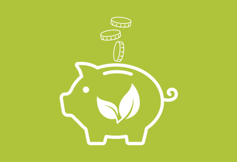 Top tips on how to have a cost effective Veganuary