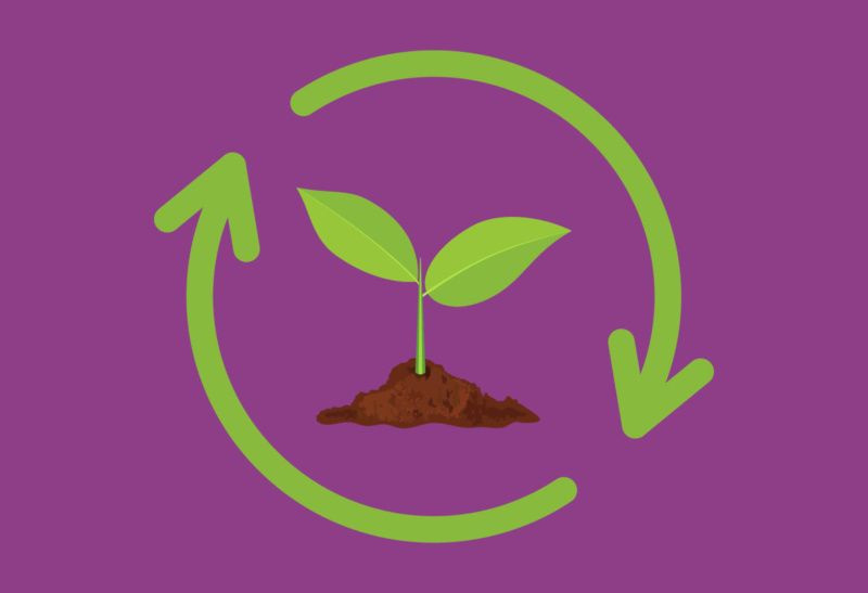 What I learned about regenerative farming | Julie Owst