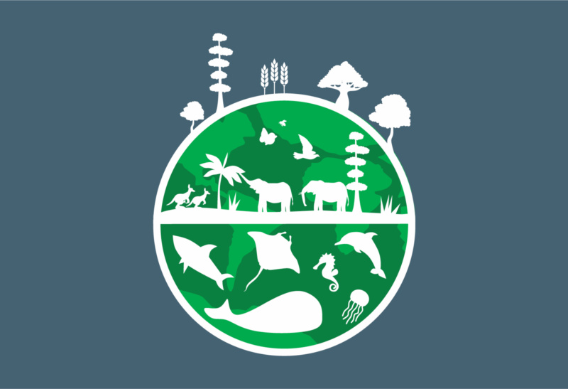 Biodiversity and food production – what’s the big deal?