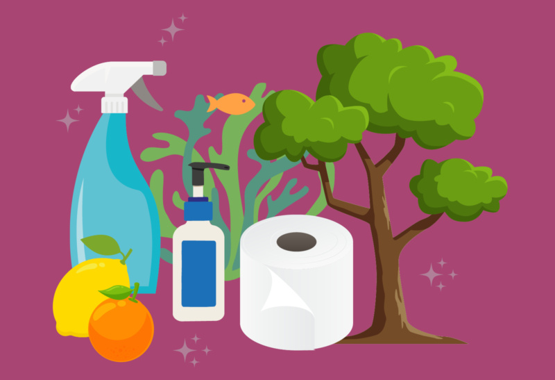 Hygiene updates: smarter solutions for your business