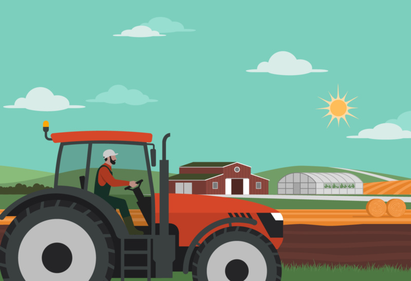 Behind the produce: a visit to Blackdown Growers